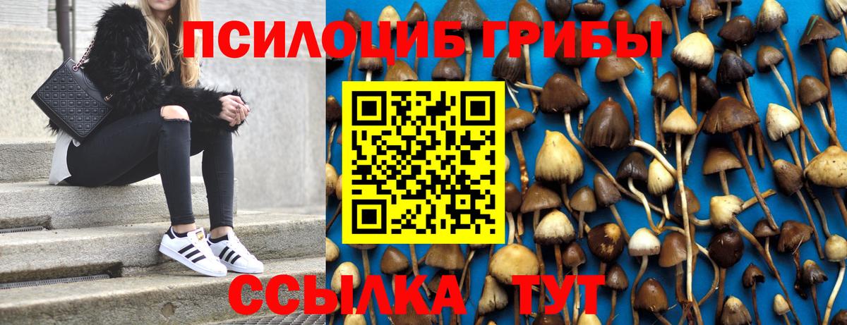 Галлюциногенные грибы мухоморы  Галлюциногенные грибы Cubensis  Гурьевск  Вход с VPN 
